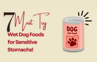 7 Best Wet Dog Food for Sensitive Stomach UK: Vet Picked